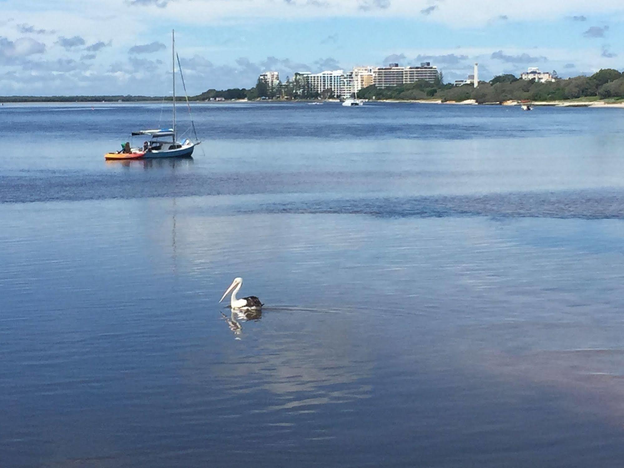 Caloundra Suncourt Motel エクステリア 写真